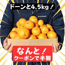 画像をギャラリービューアに読み込む, 【年末限定】甘みと旨味の黄金比。訳あり瀬戸田の島ミカン(50%OFFクーポンあり)