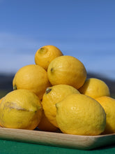 画像をギャラリービューアに読み込む, 理由あり瀬戸田レモン