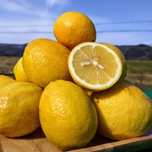 画像をギャラリービューアに読み込む, 理由あり瀬戸田レモン