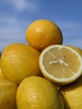 画像をギャラリービューアに読み込む, 理由あり瀬戸田レモン